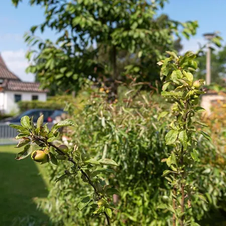 Luetten Kulli - 2 ツィングシュト