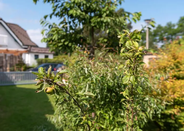 Luetten Kulli - 2 Цингст