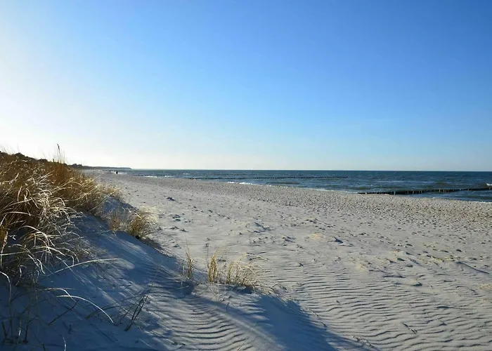 Daire Luetten Kulli - 2 *